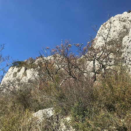 Chambre En Ardeche Du Sud Saint-Remeze Екстер'єр фото