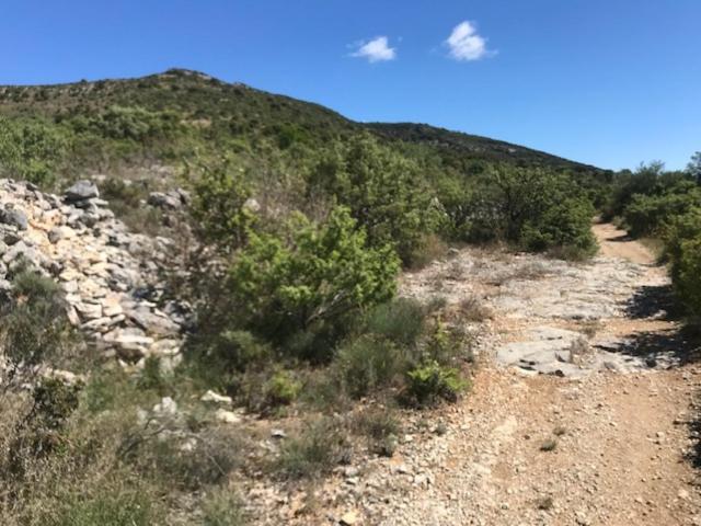 Chambre En Ardeche Du Sud Saint-Remeze Екстер'єр фото